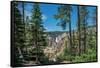 Lower Yellowstone Falls, Grand Canyon of the Yellowstone, Yellowstone National Park, Wyoming, USA-Roddy Scheer-Framed Stretched Canvas