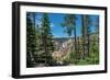 Lower Yellowstone Falls, Grand Canyon of the Yellowstone, Yellowstone National Park, Wyoming, USA-Roddy Scheer-Framed Photographic Print