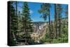Lower Yellowstone Falls, Grand Canyon of the Yellowstone, Yellowstone National Park, Wyoming, USA-Roddy Scheer-Stretched Canvas