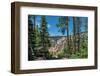 Lower Yellowstone Falls, Grand Canyon of the Yellowstone, Yellowstone National Park, Wyoming, USA-Roddy Scheer-Framed Photographic Print