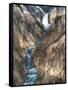 Lower Yellowstone Falls Is the Largest Falls in What Is Considered the Grand Canyon of Yellowstone.-Brad Beck-Framed Stretched Canvas