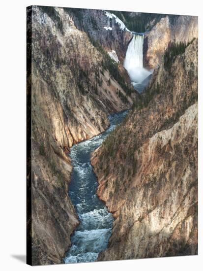 Lower Yellowstone Falls Is the Largest Falls in What Is Considered the Grand Canyon of Yellowstone.-Brad Beck-Stretched Canvas