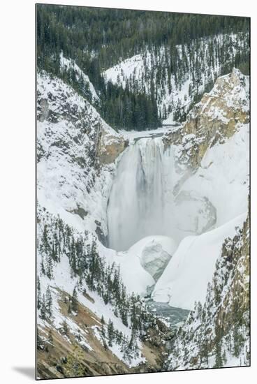 Lower Yellowstone Falls-Rob Tilley-Mounted Premium Photographic Print