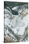 Lower Yellowstone Falls-Rob Tilley-Stretched Canvas