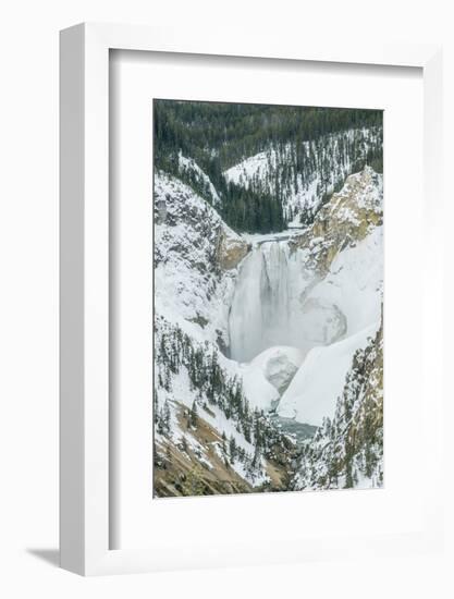 Lower Yellowstone Falls-Rob Tilley-Framed Photographic Print