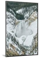 Lower Yellowstone Falls-Rob Tilley-Mounted Photographic Print