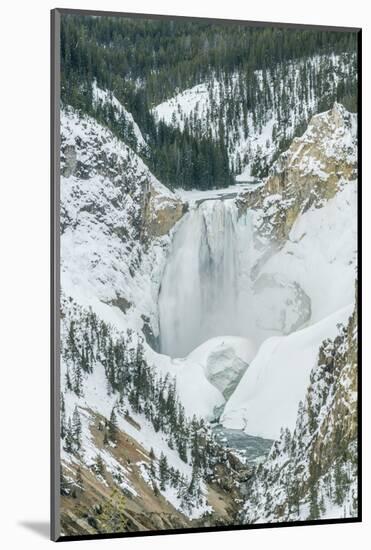 Lower Yellowstone Falls-Rob Tilley-Mounted Photographic Print