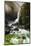Lower Yosemite Falls, Yosemite National Park, Usa-Russ Bishop-Mounted Photographic Print