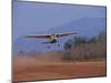 Lower Zambezi National Park, Bush Plane Taking Off from Royal Livingstone Airstrip, Zambia-John Warburton-lee-Mounted Photographic Print