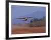 Lower Zambezi National Park, Bush Plane Taking Off from Royal Livingstone Airstrip, Zambia-John Warburton-lee-Framed Photographic Print