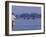 Lower Zambezi National Park, Fly-Fishing for Tiger Fish on the Zambezi River Against a Backdrop of -John Warburton-lee-Framed Photographic Print