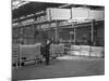 Lowering Galvanised Heat Exchangers, Edgar Allen Steel Co, Sheffield, South Yorkshire, 1964-Michael Walters-Mounted Photographic Print