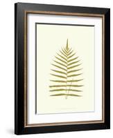 Lowes Fern IV-Edward Lowe-Framed Art Print