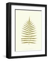 Lowes Fern IV-Edward Lowe-Framed Art Print