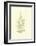 Lowes Fern V-Edward Lowe-Framed Art Print