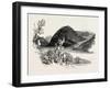 Loweswater, Lake District, UK-null-Framed Giclee Print