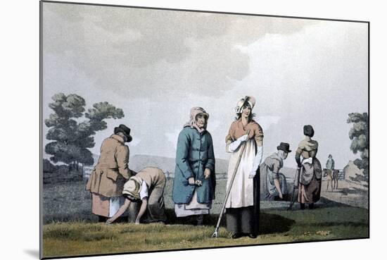 Lowkers - Women Who Weeded Corn, 1814-George Walker-Mounted Giclee Print