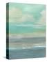 Lowland Beach I-Charles McMullen-Stretched Canvas