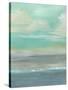 Lowland Beach I-Charles McMullen-Stretched Canvas