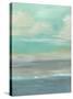 Lowland Beach I-Charles McMullen-Stretched Canvas