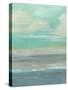 Lowland Beach I-Charles McMullen-Stretched Canvas