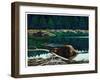 Lowland Beaver-Fred Ludekens-Framed Giclee Print