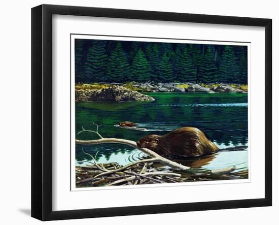 Lowland Beaver-Fred Ludekens-Framed Giclee Print