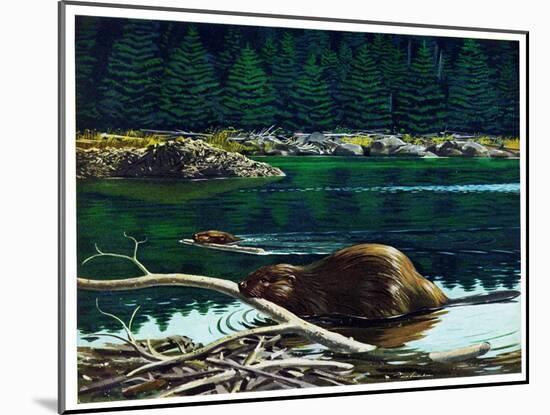 Lowland Beaver-Fred Ludekens-Mounted Giclee Print