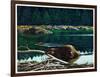 Lowland Beaver-Fred Ludekens-Framed Premium Giclee Print