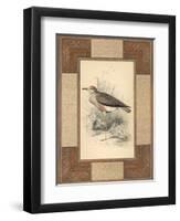 Lowland Courier-Alastair Reynolds-Framed Art Print