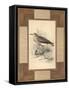 Lowland Courier-Alastair Reynolds-Framed Stretched Canvas