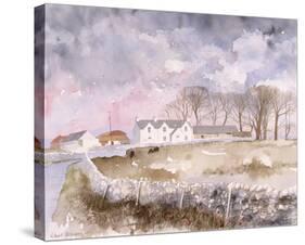 Lowland Farm-Richard Akerman-Stretched Canvas