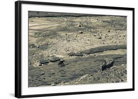 Lowland Roaming-Andrew Geiger-Framed Giclee Print