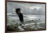 Lowtide - Bald Eagle-Wilhelm Goebel-Framed Giclee Print