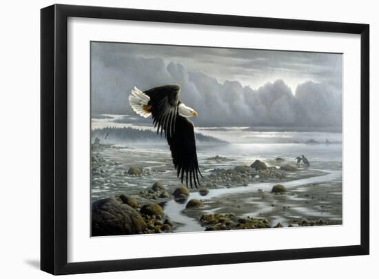 Lowtide - Bald Eagle-Wilhelm Goebel-Framed Giclee Print