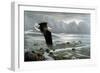 Lowtide - Bald Eagle-Wilhelm Goebel-Framed Giclee Print