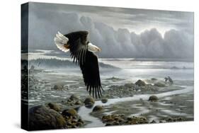 Lowtide - Bald Eagle-Wilhelm Goebel-Stretched Canvas