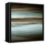 Lowtide-John Seba-Framed Stretched Canvas