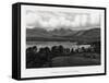 Lowwood and Langdale Pikes, Lake District, Cumbria, 1896-null-Framed Stretched Canvas