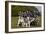 Loyalist Colonials Marching in a Reenactment on the Yorktown Battlefield, Virginia-null-Framed Giclee Print