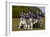 Loyalist Colonials Marching in a Reenactment on the Yorktown Battlefield, Virginia-null-Framed Giclee Print