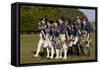 Loyalist Colonials Marching in a Reenactment on the Yorktown Battlefield, Virginia-null-Framed Stretched Canvas