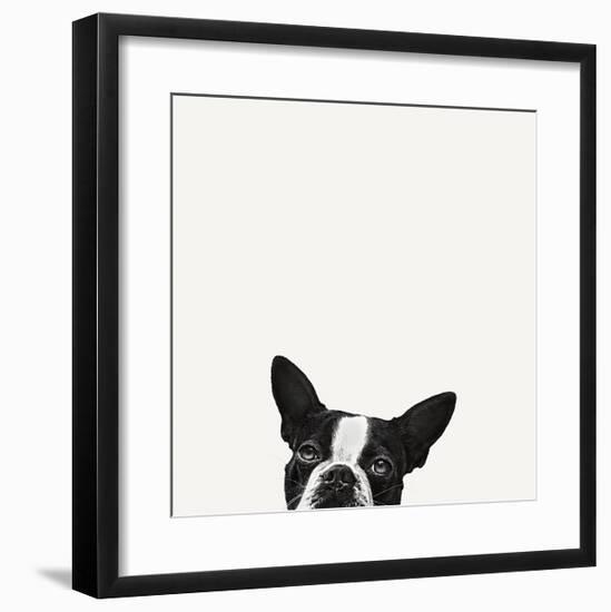 Loyalty-Jon Bertelli-Framed Art Print