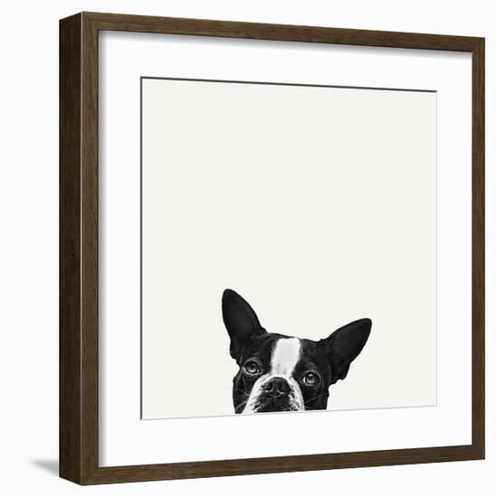 Loyalty-Jon Bertelli-Framed Art Print