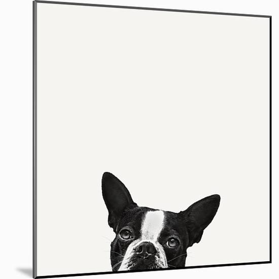 Loyalty-Jon Bertelli-Mounted Art Print