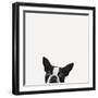 Loyalty-Jon Bertelli-Framed Photographic Print