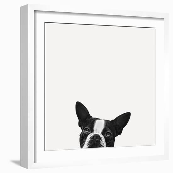 Loyalty-Jon Bertelli-Framed Photographic Print