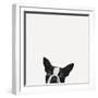 Loyalty-Jon Bertelli-Framed Photographic Print