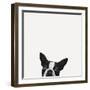 Loyalty-Jon Bertelli-Framed Premium Photographic Print