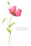 Painted Watercolor Card with Poppy and Text-lozas-Photographic Print